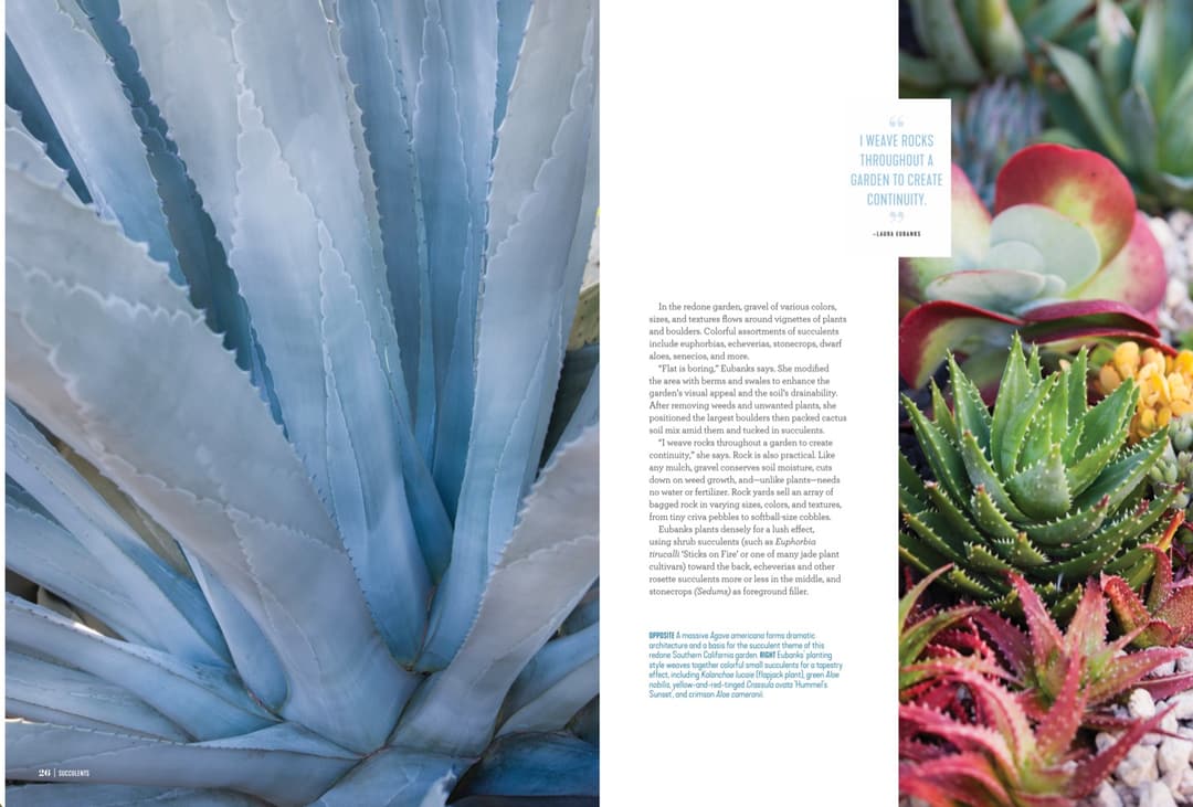 A full spread from the feature: a blue agave closeup beside Laura's pull quote on weaving rocks through a garden